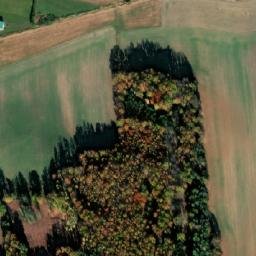 Satellite imagery of Skály [Skály u Protivína], CZ
