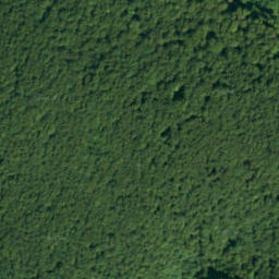 Satellite imagery of Homola, SK