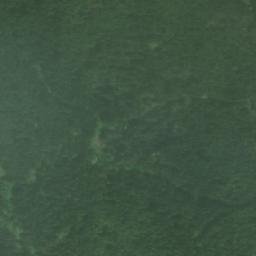 Satellite imagery of Arbutus Summit, CA