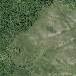 Satellite imagery of Pine Ridge, CA