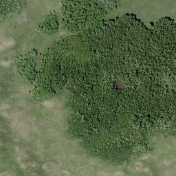 Satellite imagery of Pine Ridge, CA