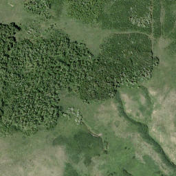 Satellite imagery of Pine Ridge, CA