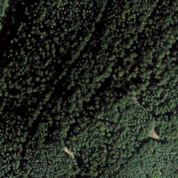 Satellite imagery of Großer Horberg, DE