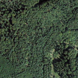 Satellite imagery of Großer Horberg, DE
