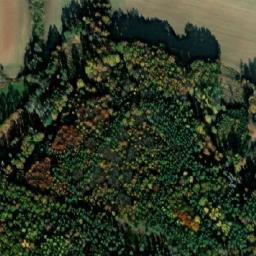Satellite imagery of Bor [Protivín], CZ