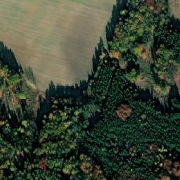 Satellite imagery of Bor [Protivín], CZ