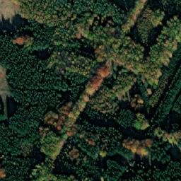 Satellite imagery of Bor [Protivín], CZ