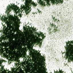 Satellite imagery of Můstek, CZ