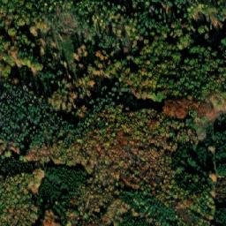 Satellite imagery of Bor [Protivín], CZ