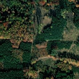 Satellite imagery of Bor [Protivín], CZ