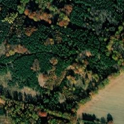 Satellite imagery of Bor [Protivín], CZ