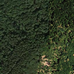 Satellite imagery of Hohenberg, DE