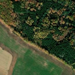 Satellite imagery of Bor [Protivín], CZ