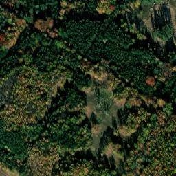 Satellite imagery of Bor [Protivín], CZ