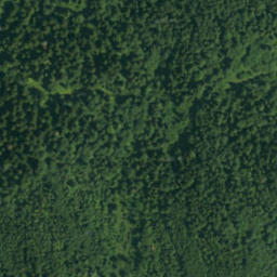 Satellite imagery of Demianka, PL