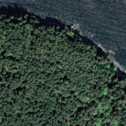 Satellite imagery of Tyne Point, CA