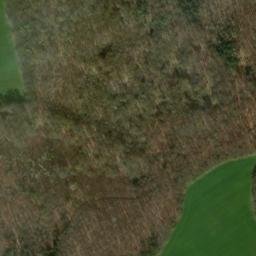 Satellite imagery of Hahnenbühl, DE
