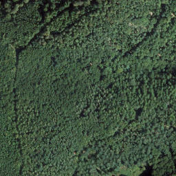 Satellite imagery of Großer Mühlenberg, DE