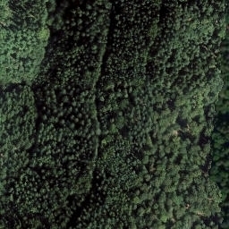 Satellite imagery of Farreneck, DE