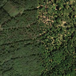 Satellite imagery of Hohenberg, DE