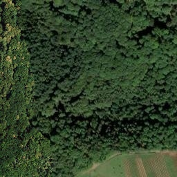 Satellite imagery of Hohenberg, DE