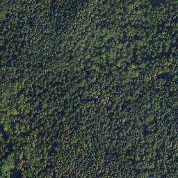 Satellite imagery of Lamberg, DE