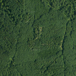 Satellite imagery of survey_point, PL