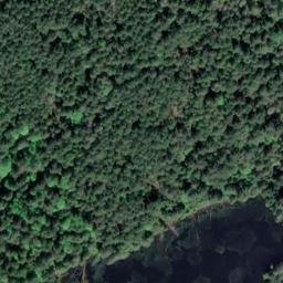 Satellite imagery of Tyne Point, CA