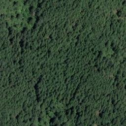 Satellite imagery of Nicomen Mountain, CA
