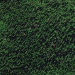 Satellite imagery of survey_point, CA