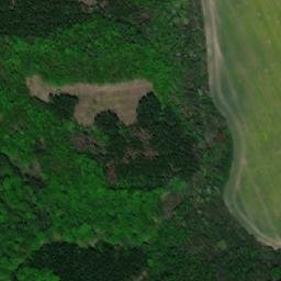 Satellite imagery of Lichov [Nemochovice], CZ