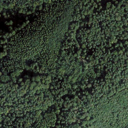 Satellite imagery of Wieselberg, DE