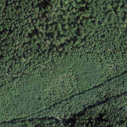 Satellite imagery of Wieselberg, DE