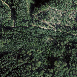 Satellite imagery of Seekopf, DE