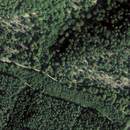 Satellite imagery of Seekopf, DE