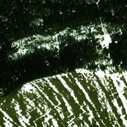 Satellite imagery of Javorná, CZ