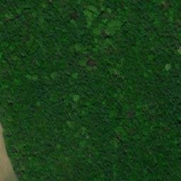 Satellite imagery of Lichov [Nemochovice], CZ