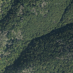 Satellite imagery of Labka Vlk, PL