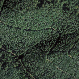 Satellite imagery of Seekopf, DE