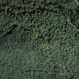 Satellite imagery of Seekopf, DE