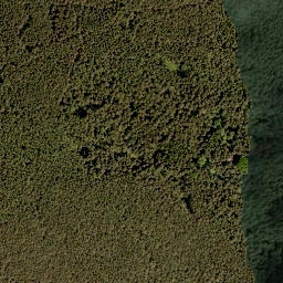 Satellite imagery of Bärenberg, DE