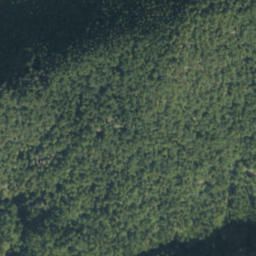 Satellite imagery of Labka Vlk, PL