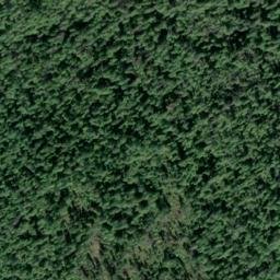 Satellite imagery of Bald Point, CA