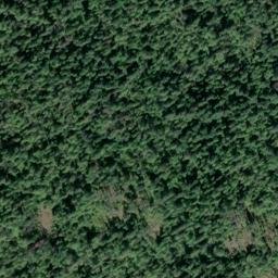 Satellite imagery of Bald Point, CA