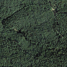 Satellite imagery of Seekopf, DE