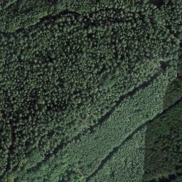 Satellite imagery of Seekopf, DE