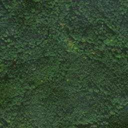 Satellite imagery of Sendeturm Waldenburg, DE