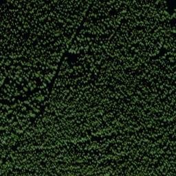 Satellite imagery of survey_point, CZ