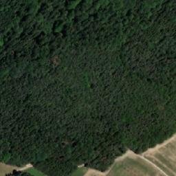 Satellite imagery of Horní les [Nová Olešná], CZ