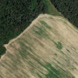 Satellite imagery of Horní les [Nová Olešná], CZ